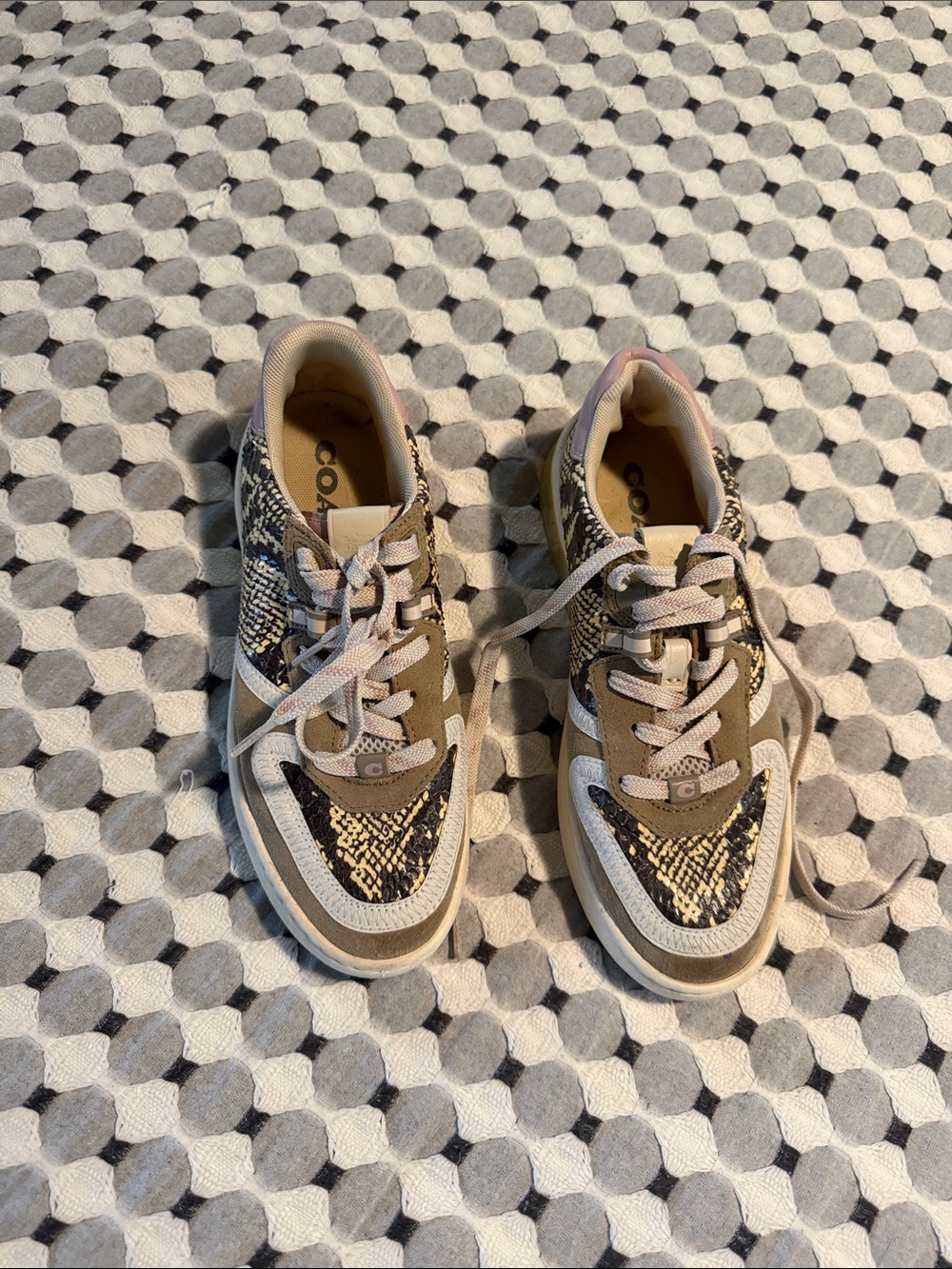 Coach Snake-Print Sneakers in Olive and Tan with baby blue and pink